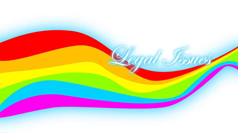 Gay Bombay Special Sunday Meet: ‘Living With The Law”: Report&nbsp;(03/2014)